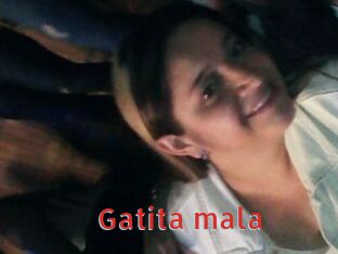 Gatita_mala