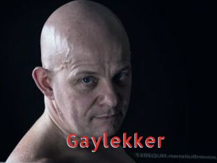 Gaylekker