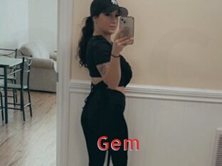 gem Archive DVD NET