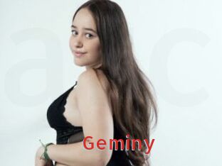 geminy Archive DVD NET
