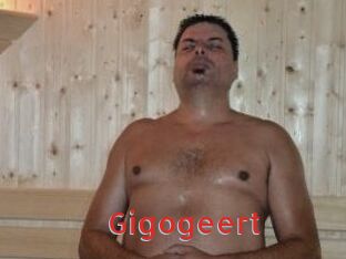 gigogeert Archive DVD NET