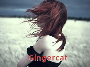 Gingercat