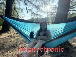 Gingerchronic
