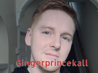 Gingerprincekall