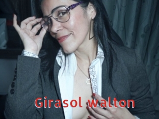 Girasol_walton