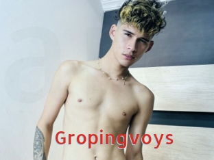 Gropingvoys