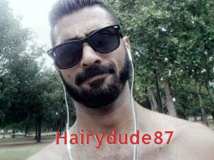 Hairydude87