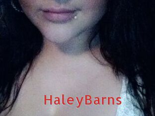 HaleyBarns Archive DVD NET