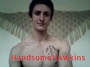 HandsomeHawkins