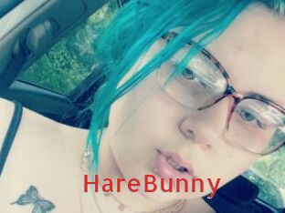 HareBunny