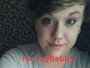 HarleyBabby Archive DVD NET