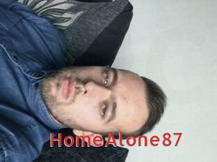 HomeAlone87