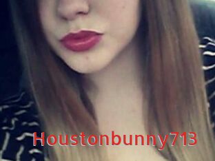 Houstonbunny713