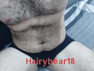 Hairybear18