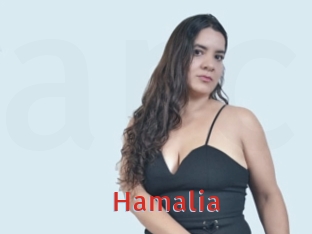 hamalia Archive DVD NET