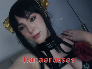 Hanaerosses