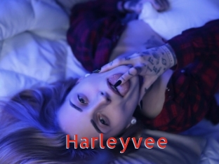 harleyvee Archive DVD NET
