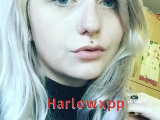 Harlowxpp