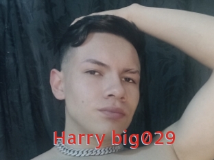 Harry_big029