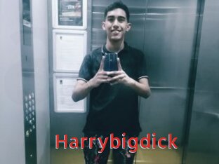 Harrybigdick