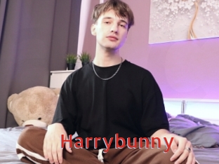 Harrybunny