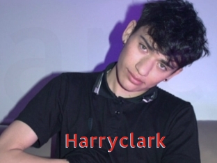 harryclark Archive DVD NET