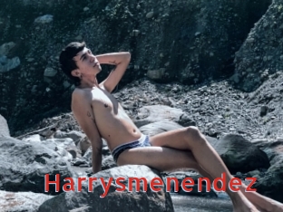 Harrysmenendez