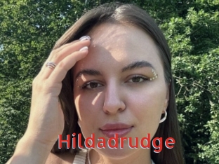 hildadrudge Archive DVD NET