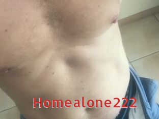 Homealone222