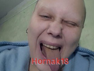 Hornak18