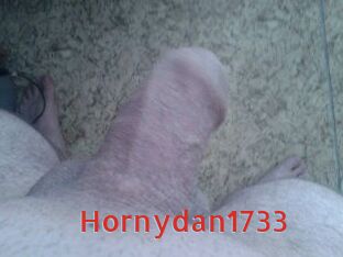 Hornydan1733