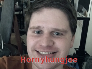 hornyhungjoe Archive DVD NET
