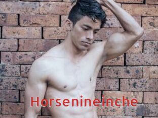 Horsenineinche