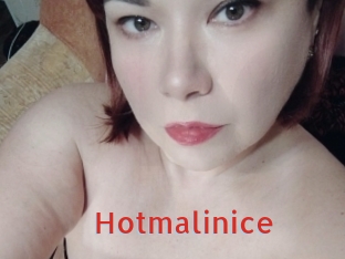 Hotmalinice