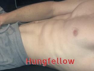 hungfellow Archive DVD NET