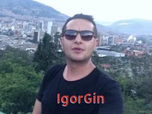 IgorGin