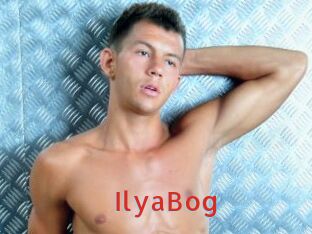 IlyaBog Archive DVD NET