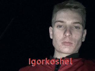 Igorkoshel