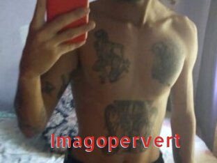 Imagopervert