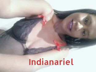 indianariel Archive DVD NET