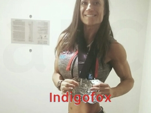 Indigofox