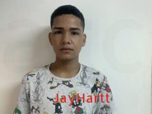JayHartt Archive DVD NET