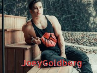 JoeyGoldberg