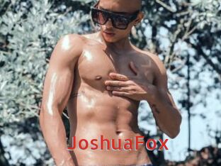 JoshuaFox