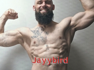 Jayybird