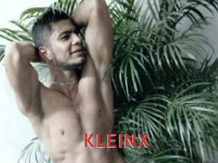 KLEINX