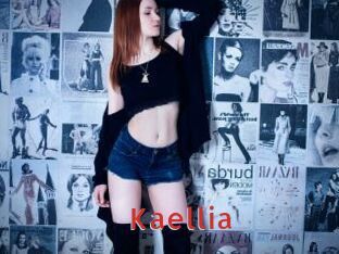 Kaellia Archive DVD NET