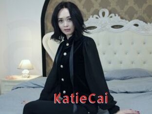 KatieCai Archive DVD NET