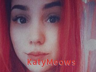 KatyMeows Archive DVD NET