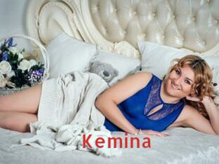 Kemina Archive DVD NET